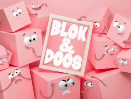 Blok & Doos  | De Grote Haay