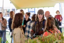 netwerkborrel