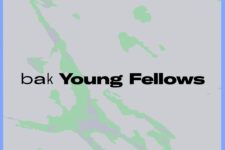 Open call: BAK Young Fellows