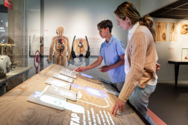 Meer wetenschap in de klas - Universiteitsmuseum Utrecht